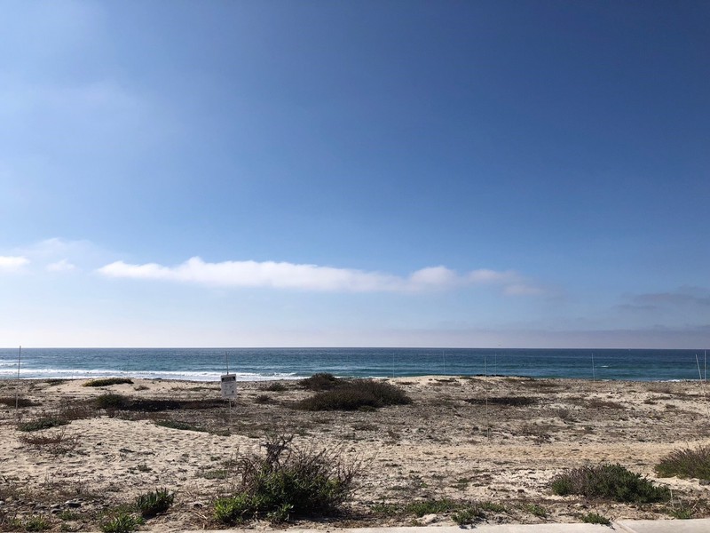 case study beach replenishment lagoon restoration low dune habitat restoration // cs_beach-replenishment-lagoon-restoration-low-dune-habitat-restoration.jpg (109 K)