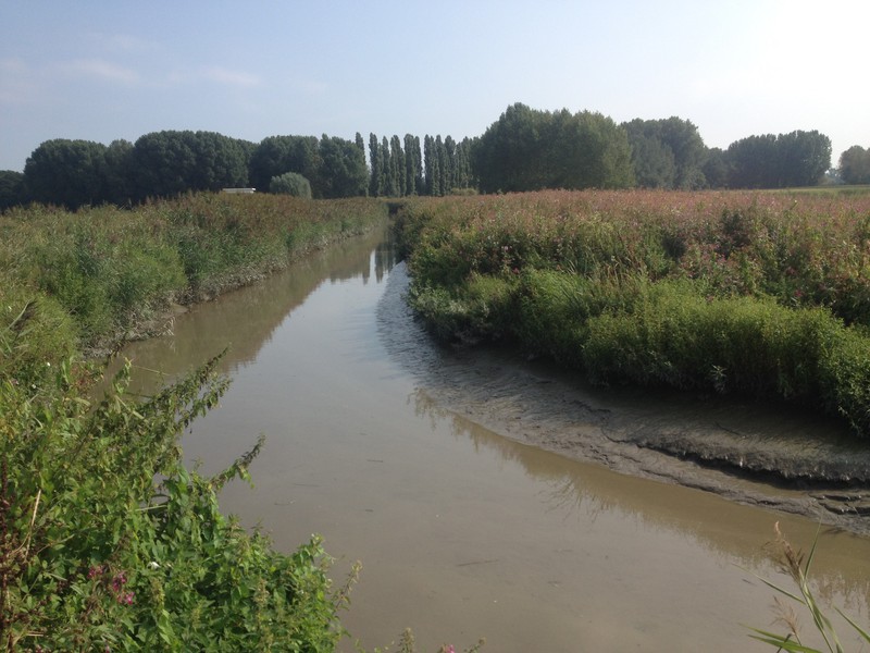 case study controlled flood area durme river detail // cs_controlled-flood-area-durme-river-detail.jpg (119 K)