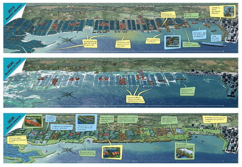 case study demak mangrove restoration greenbelt // cs_demak-mangrove-restoration-greenbelt.jpg (594 K)
