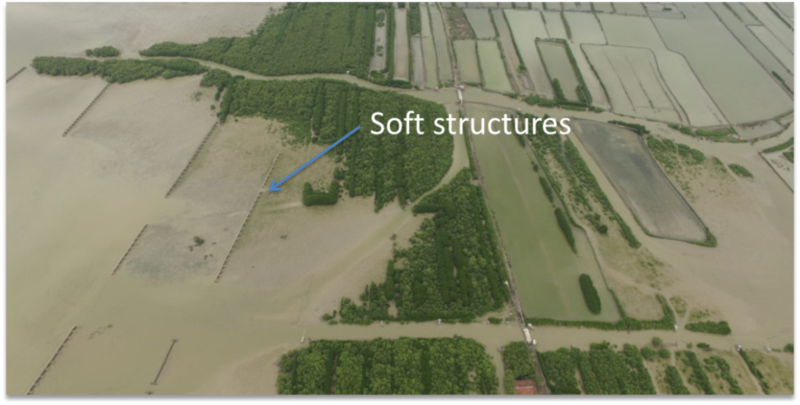 case study demak mangrove restoration soft structure implemented // cs_demak-mangrove-restoration-soft-structure-implemented.png (395 K)