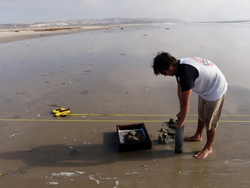 case study impact fine sediments beach infauna studies // cs_impact-fine-sediments-beach-infauna-studies.jpg (239 K)