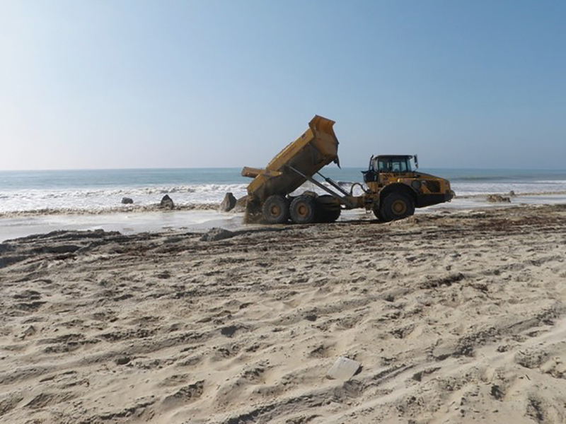 case study impact fine sediments intertidal zone // cs_impact-fine-sediments-intertidal-zone.jpg (320 K)