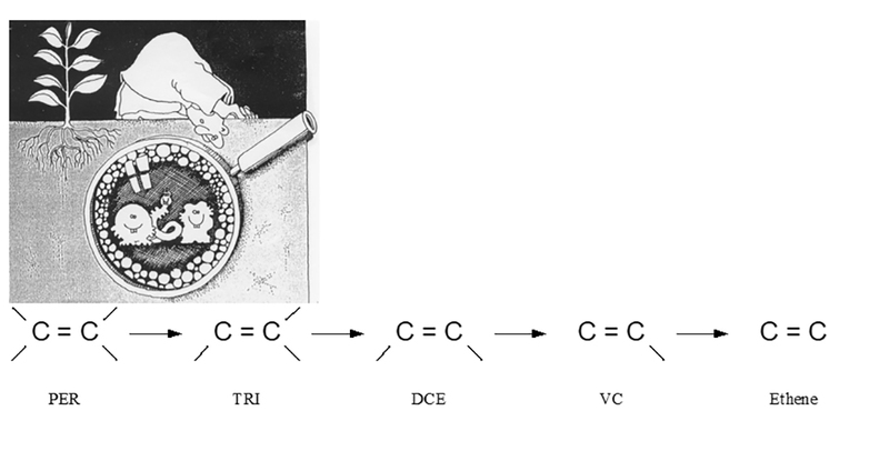 case study landfarming oostwaardhoeve degradation micro pollutants // cs_landfarming_oostwaardhoeve-degradation-micro-pollutants.jpg (85 K)