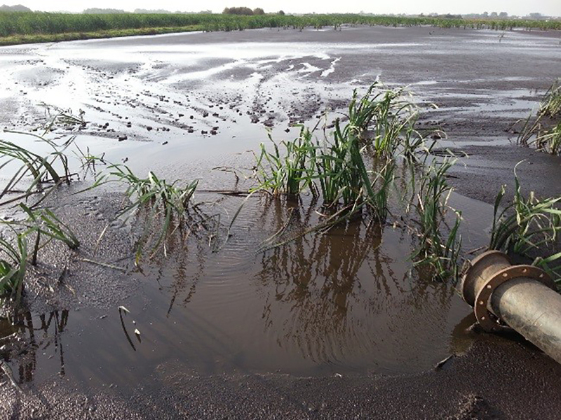 case study lift up lowlands filling sediment // cs_lift-up-lowlands-filling-sediment.jpg (458 K)