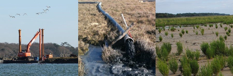 case study lymington intertidal habitat abpmer // cs_lymington-intertidal-habitat-abpmer.jpg (207 K)
