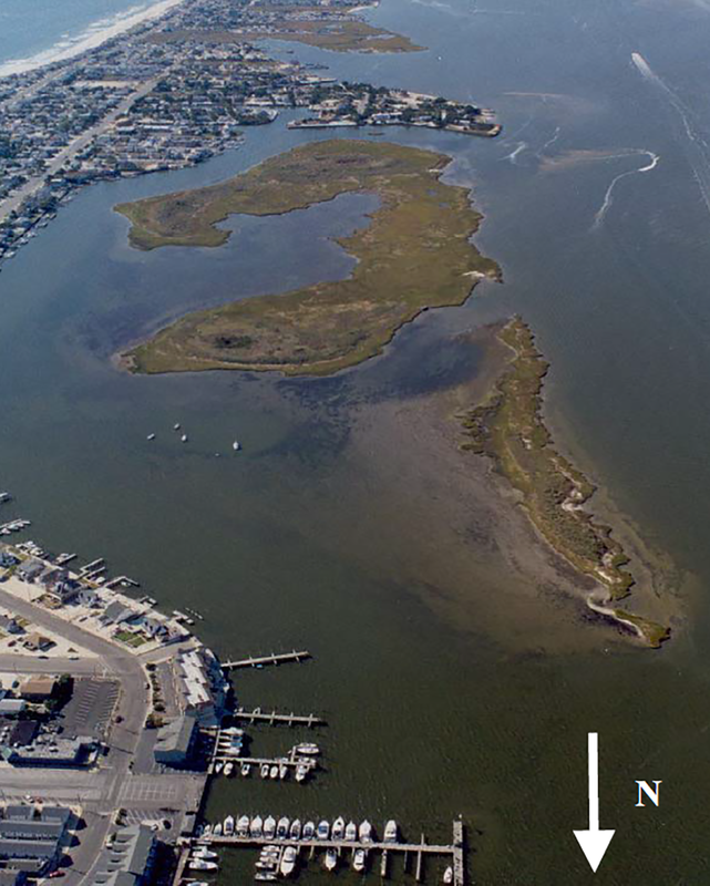 case study mordecai island 2002 // cs_mordecai-island-2002.png (708 K)