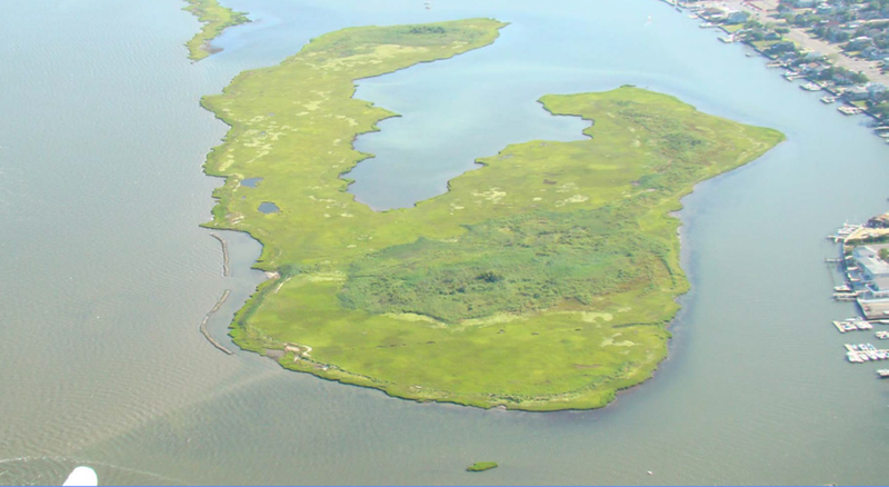 case study mordecai island 2013 // cs_mordecai-island-2013.png (445 K)