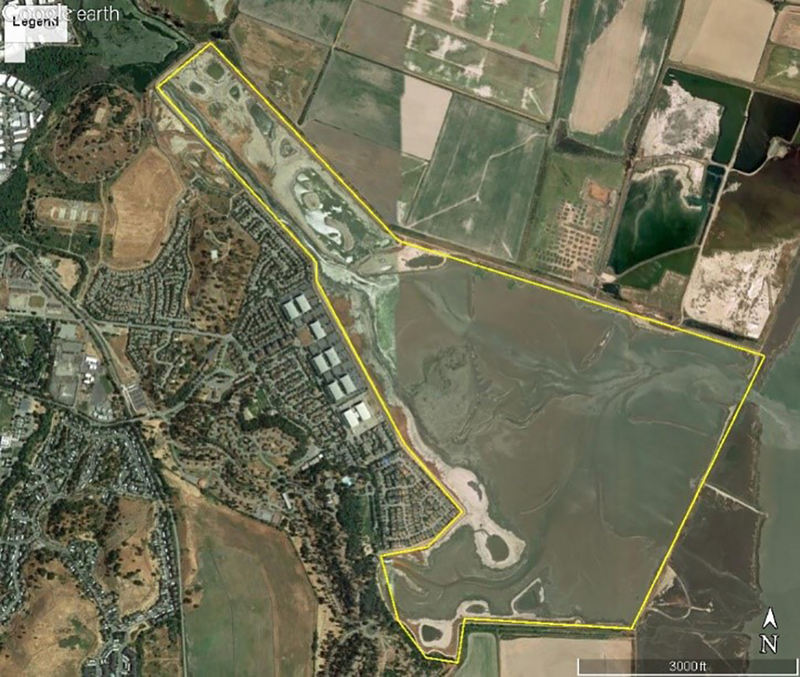 case study restoration hamilton wetlands 2017 // cs_restoration-hamilton-wetlands-2017.jpg (484 K)