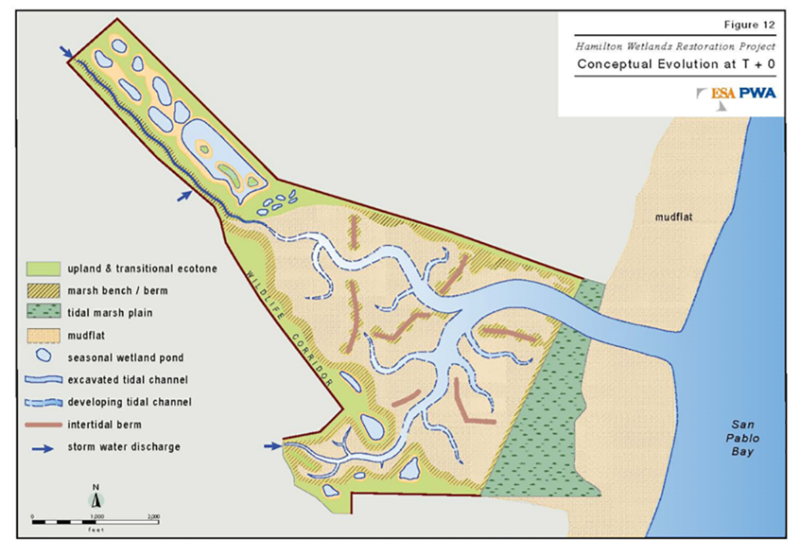 case study restoration hamilton wetlands impression // cs_restoration-hamilton-wetlands-impression.png (406 K)