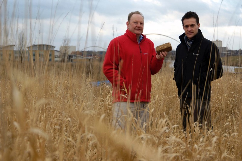 R1A_2008_UK_Tees_Barrage_Phytostabilisation_Richard_Figure_4 // r1a_2008_uk_figure_4.jpg (100 K)