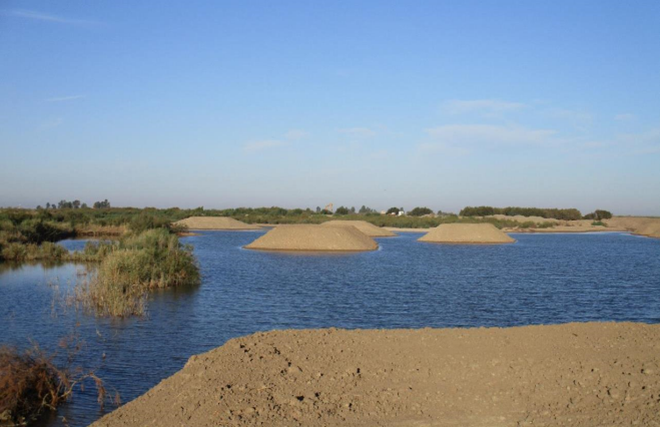 R4A_2019_ES-SevillaPort_NestingArea figure 3 // r4a_2019_es-sevillaport_nestingarea_figure_3.png (466 K)