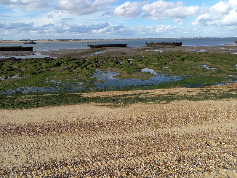 R5B_2021_GB3horsey // fig1ar5c_2021_gb.jpg (370 K)